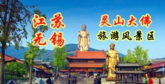 嗯…操我视频江苏无锡灵山大佛旅游风景区